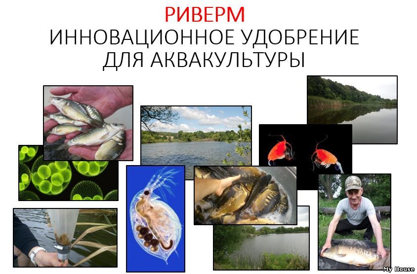 Удобрение для прудов РИВЕРМ (аквакультура).Донецк