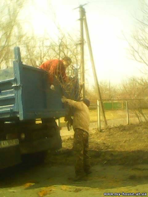 Вырубка участка Киев Выкорчевка деревьев пней зарослей