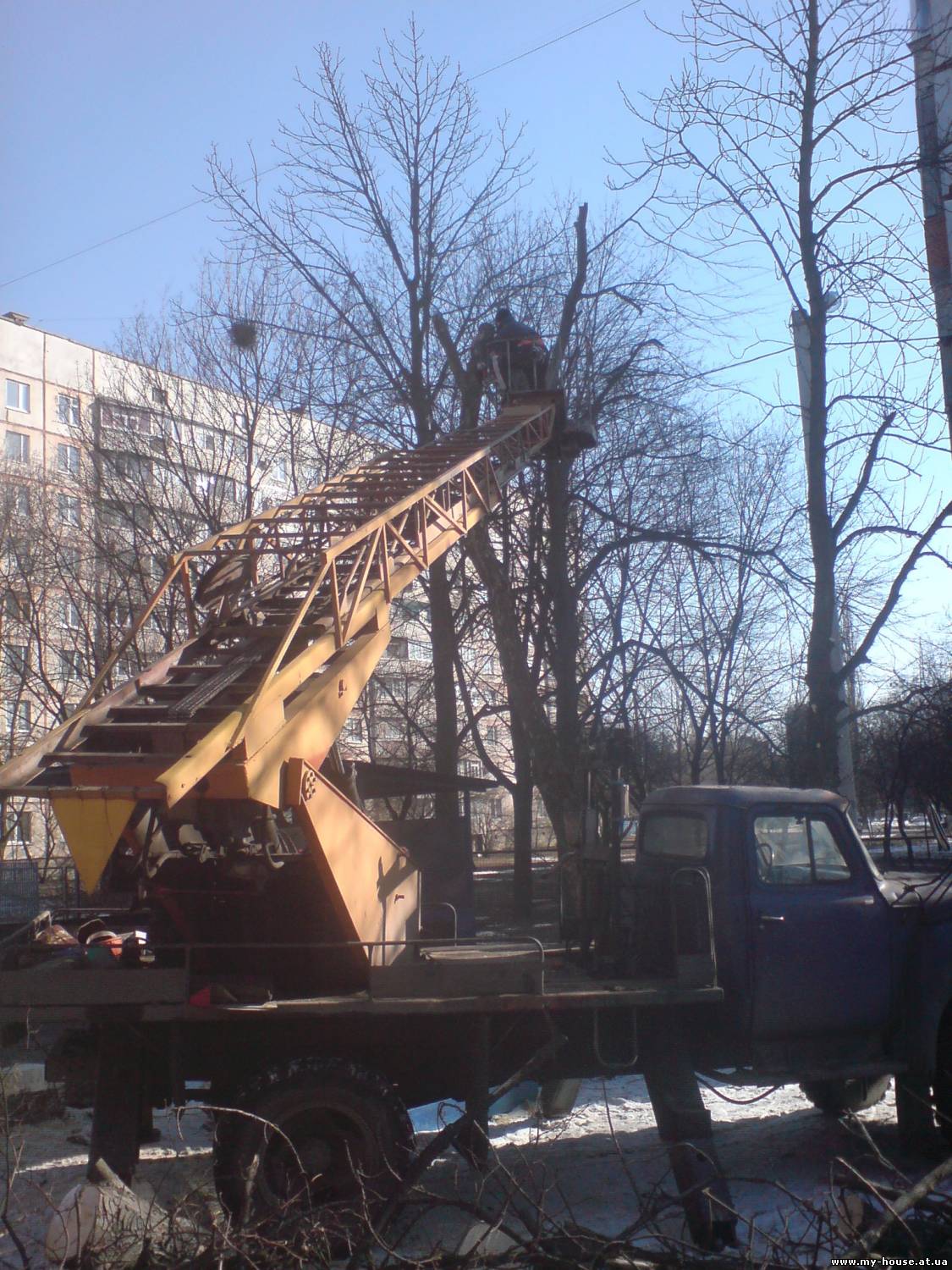 Санітарна обрізка дерев, кронування в місті Києві та області
