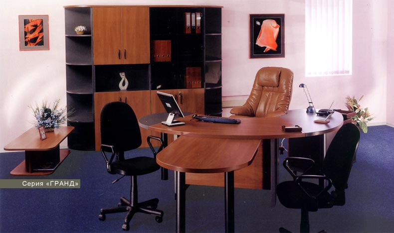 функциональная офисная мебель для кабинета Гранд