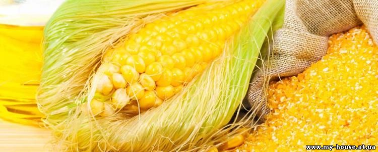 Кукурузная крупа, мука, отруби