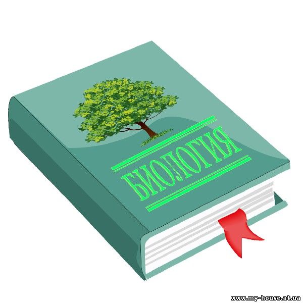 Подготовка  к ВНО по биологии