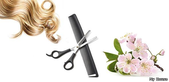 Прически, стрижки, покраска волос, лечение. Любые парикмахерские услуги.