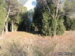 Земля. Крым РФ, Алушта.