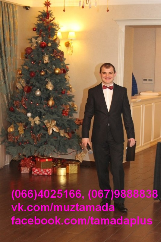 Дід Мороз, тамада, жива музика, ді джей, вокаліст, акордеоніст у Києві. Новий рік, ювілей, весілля