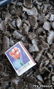 Жмых подсолнечника топливный