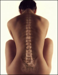 Лечение позвоночника