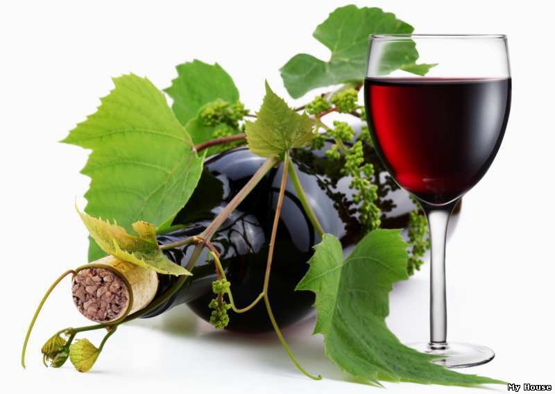 Продам отличный Коньяк, Виски, водку, чачу, вино, шампанское. Опт и розница (Мукачево)