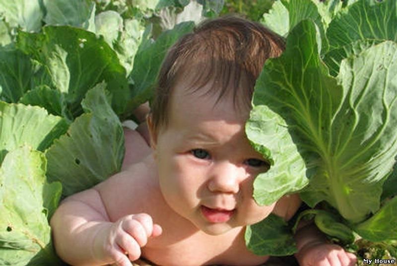 Клініка репродуктивної медицини шукає сурогатних мам та донорів яйцеклітин. Харьков