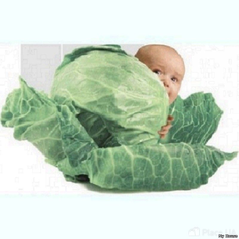 Предложение о сотрудничестве для суррогатных мам и доноров. Тернополь