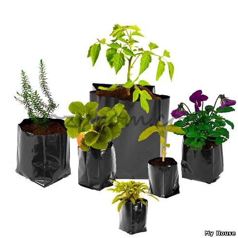 Собери свой комплект: пакеты для саженцев