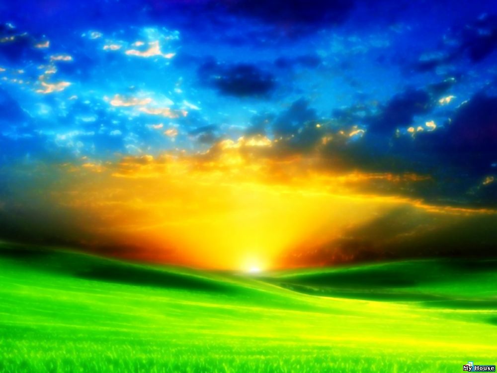 Реєстрація ПП, ТОВ. ПДВ, єдиний (недорого) Закриємо діяльність