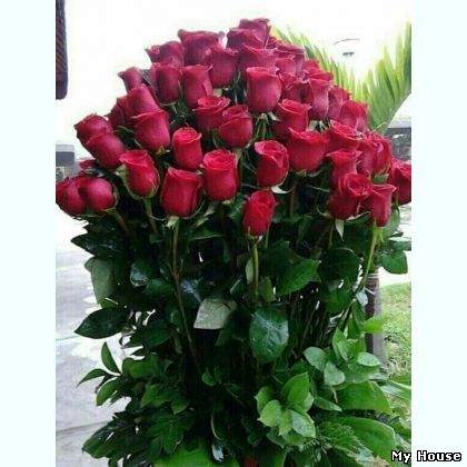 Работа для Девушек в массажном салоне-Днепр